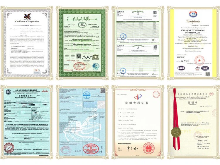 product-750-564 Our Certificates